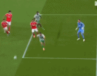 net, 羊波尔图, src