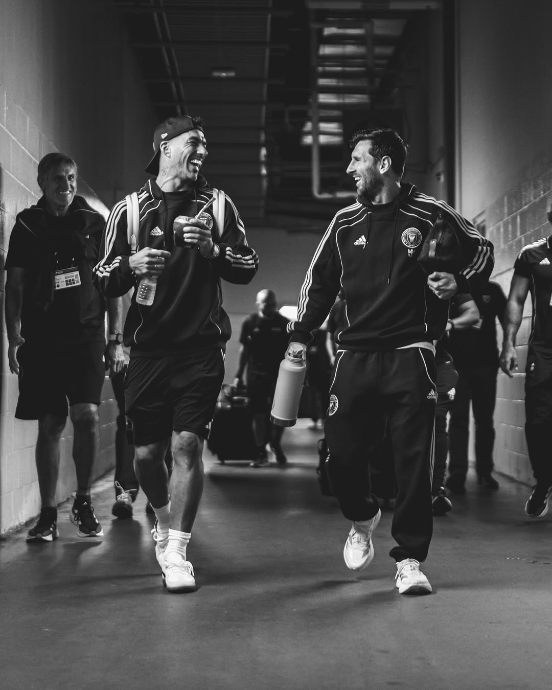 alt, cn, 解禁复出并