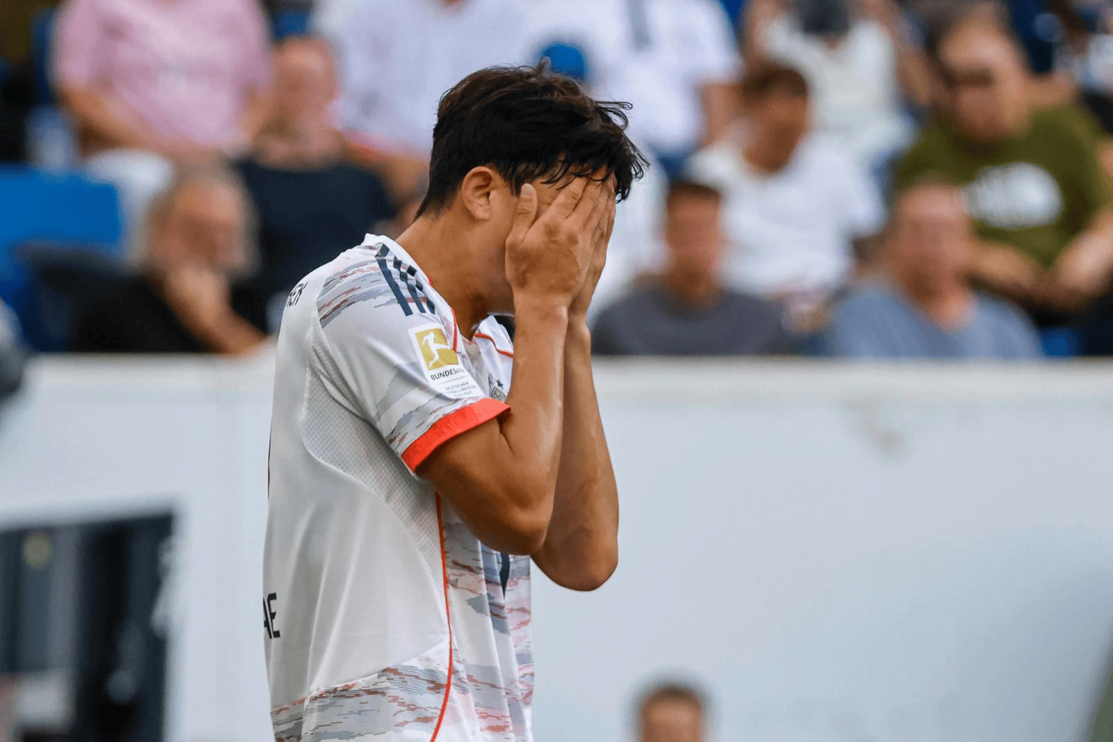 因与菲斯尼, 反应